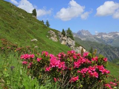 Holiday room Erkerzimmer - Outdoor photo 21