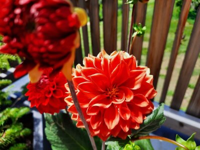 Holiday room Studio, Dusche, WC - Outdoor photo 14