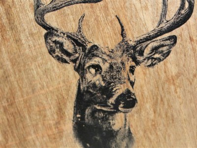 Holiday room Doppelzimmer - Outdoor photo 36