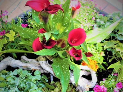 Holiday room Doppelzimmer- Tiefparterre - Outdoor photo 47