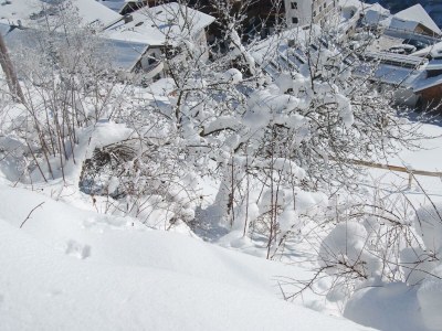 Apartment EVA APT./2 Schlafräume/Dusche, WC - Outdoor photo 8