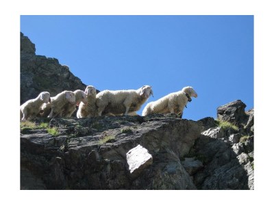 Apartment Apart 1 (2-6 Pers.), 3 Schlafräume - Outdoor photo 14