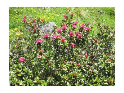 Apartment Apart 1 (2-6 Pers.), 3 Schlafräume - Outdoor photo 16