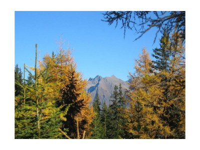 Apartment Apart 1 (2-6 Pers.), 3 Schlafräume - Outdoor photo 23