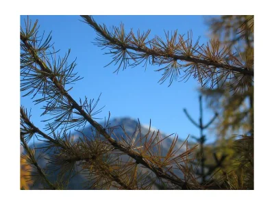 Apartment Apart 1 (2-6 Pers.), 3 Schlafräume - Outdoor photo 24