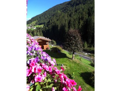 Apartment "TYP 5"(2-5 Pers.)/2 Schlafräume/Bad, WC - Features photo 9