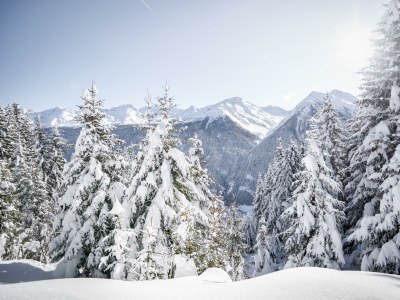 Apartment WHG 1 in Kappl - Apartment