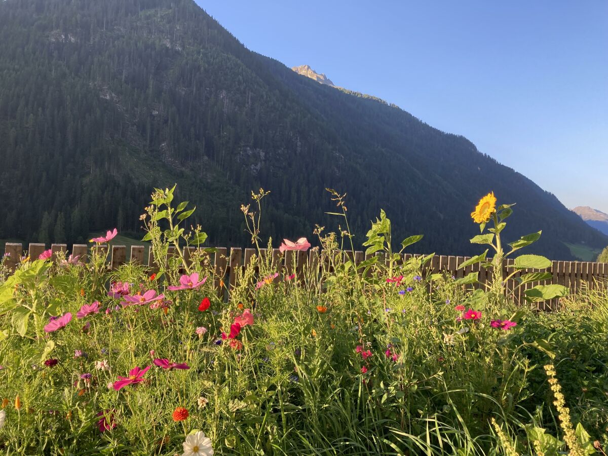 Apartment Appartement/Fewo, 2 Schlafräume (4-6 Pers.) - Outdoor photo 5