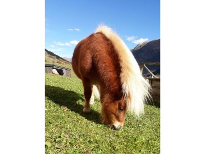 Holiday room Doppelzimmer Gorfenspitze, Dusche, WC - Outdoor photo 38