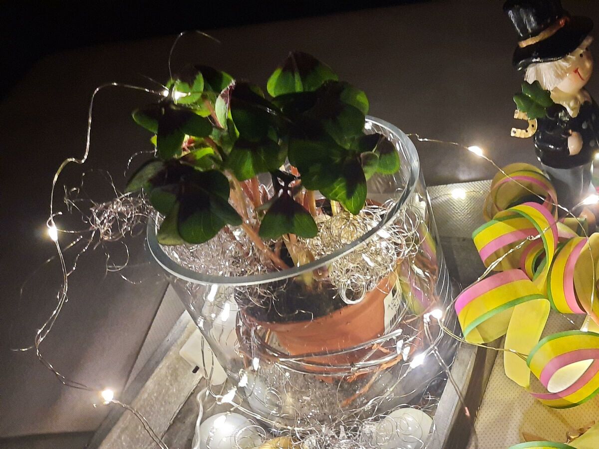 Holiday room DZ mit Balkon mit Dusche od. Bad, WC - Outdoor photo 4