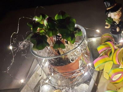 Holiday room DZ mit Balkon mit Dusche od. Bad, WC - Outdoor photo 4