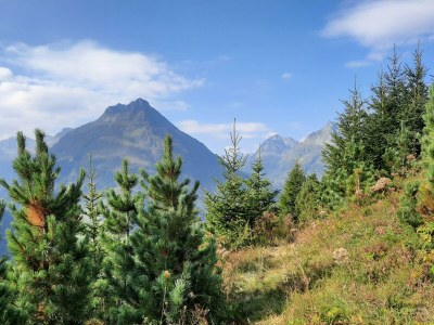 Holiday room DZ mit Balkon mit Dusche od. Bad, WC - Outdoor photo 7