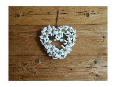 Holiday room DZ mit Balkon mit Dusche od. Bad, WC - Outdoor photo 11