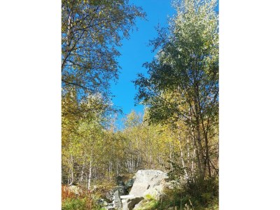 Holiday room DZ mit Balkon mit Dusche od. Bad, WC - Outdoor photo 12