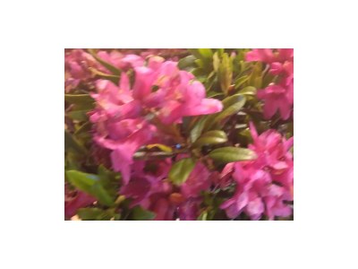 Holiday room DZ mit Balkon mit Dusche od. Bad, WC - Outdoor photo 24