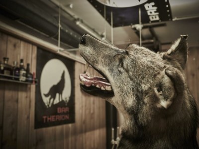 Apartment Appartement, Dusche und Bad, WC, 2 Schlafräume - Outdoor photo 70