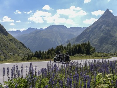 Apartment App. 1 Philipp (1-5 Per.) 1 Schlafraum, DU,WC - Outdoor photo 6