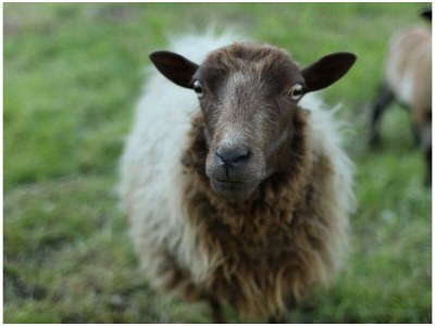 Holiday room Doppelzimmer Ballunspitze, Dusche, WC - Outdoor photo 45