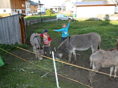 Apartment DORFBLICK 2-4/2 Schlafräume/2xDU,2xWC - Outdoor photo 11