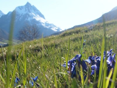 Holiday room Doppelzimmer mit Dusche, WC - Outdoor photo 5