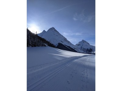 Apartment FW III-Apartment/1 Schlafraum/Dusche, WC - Outdoor photo 11