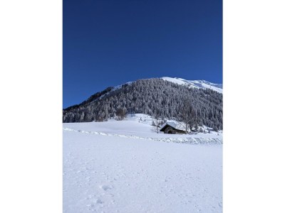 Apartment FW III-Apartment/1 Schlafraum/Dusche, WC - Outdoor photo 13