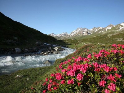 Apartment Tirol-Apartment/1 Schlafraum/Dusche, WC - Outdoor photo 6
