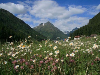 Apartment Tirol-Apartment/1 Schlafraum/Dusche, WC - Outdoor photo 17
