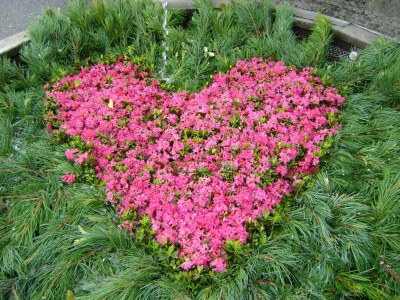 Apartment Paznaun-Apartment/2 Schlafräume/Dusche, - Outdoor photo 17