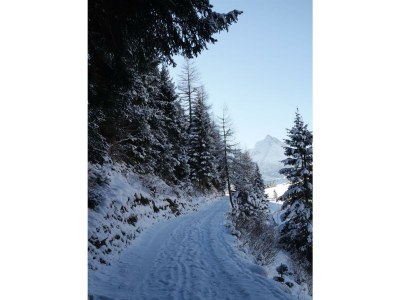 Apartment Nr.4-Apartment/1 Schlafraum/Dusche, WC - Outdoor photo 4