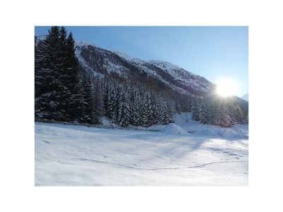 Apartment Nr.4-Apartment/1 Schlafraum/Dusche, WC - Outdoor photo 10