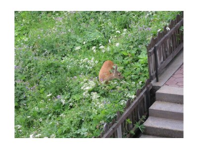 Apartment Wohnung 4/ 3 Schlafzimmer Kombination aus FW 2 & 3 - Outdoor photo 9