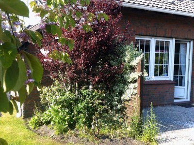 Holiday house Wellness Huus - Outdoor photo 2