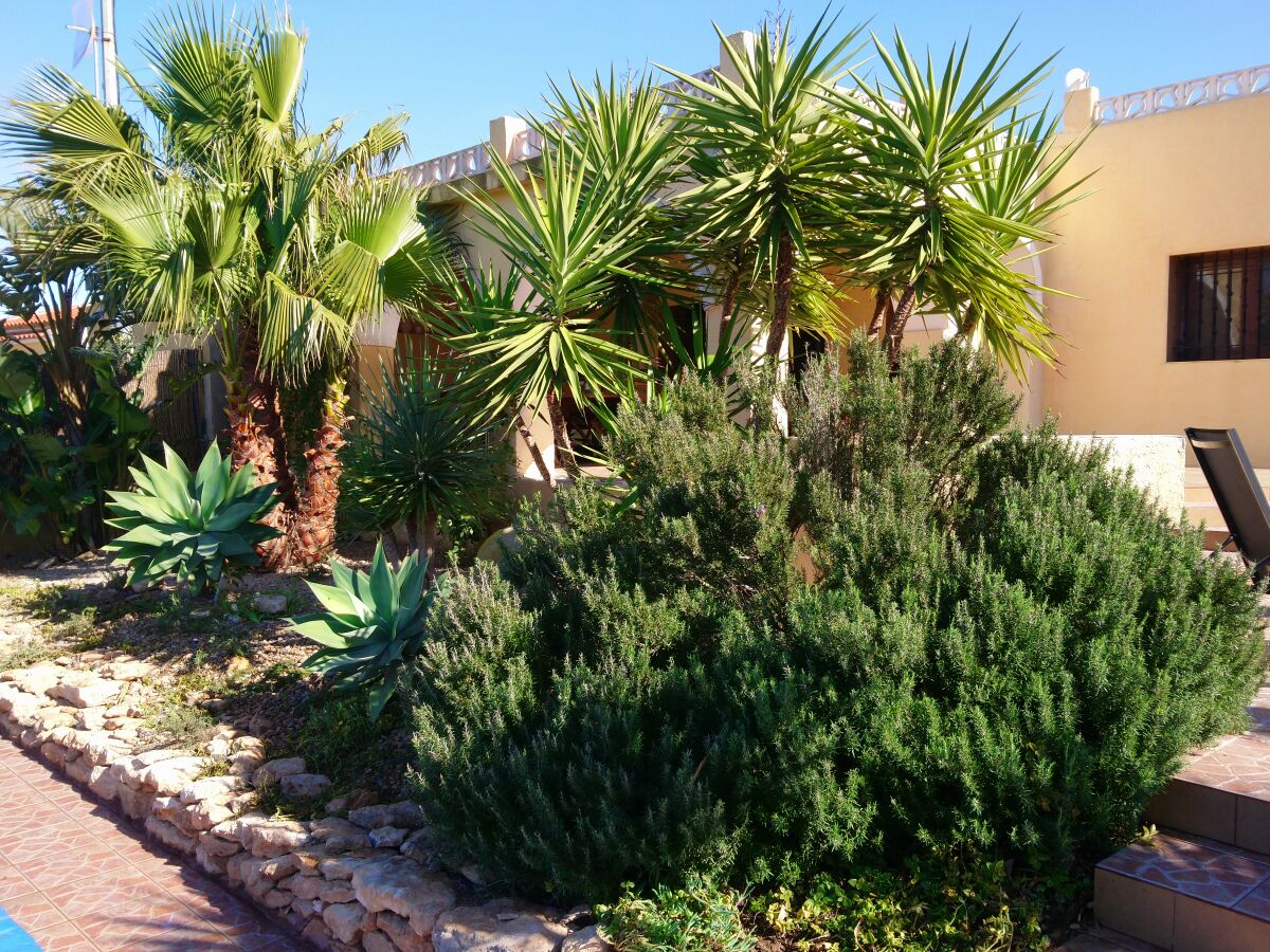 Finca Casa los Martos - Outdoor photo 2