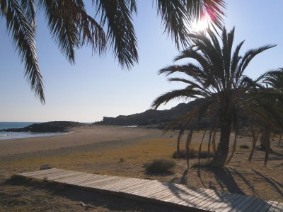 Finca Casa los Martos - Environment photo 35