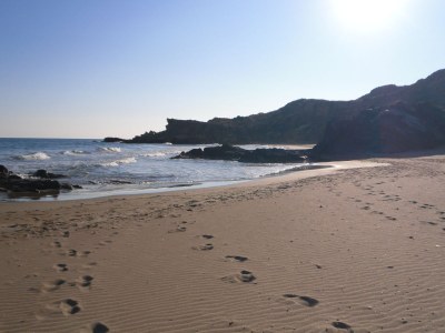 Finca Casa los Martos - Environment photo 37