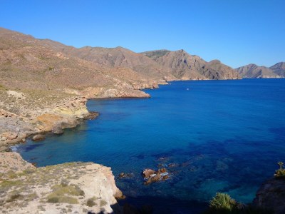 Finca Casa los Martos - Environment photo 38