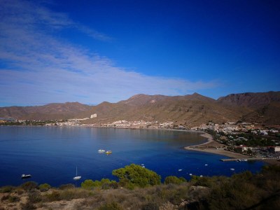Finca Casa los Martos - Environment photo 39