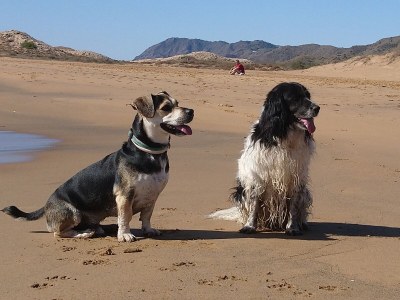 Finca Casa los Martos - Environment photo 40