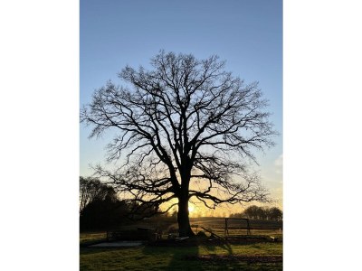 Holiday house Landhaus Dittrich - Environment photo 23