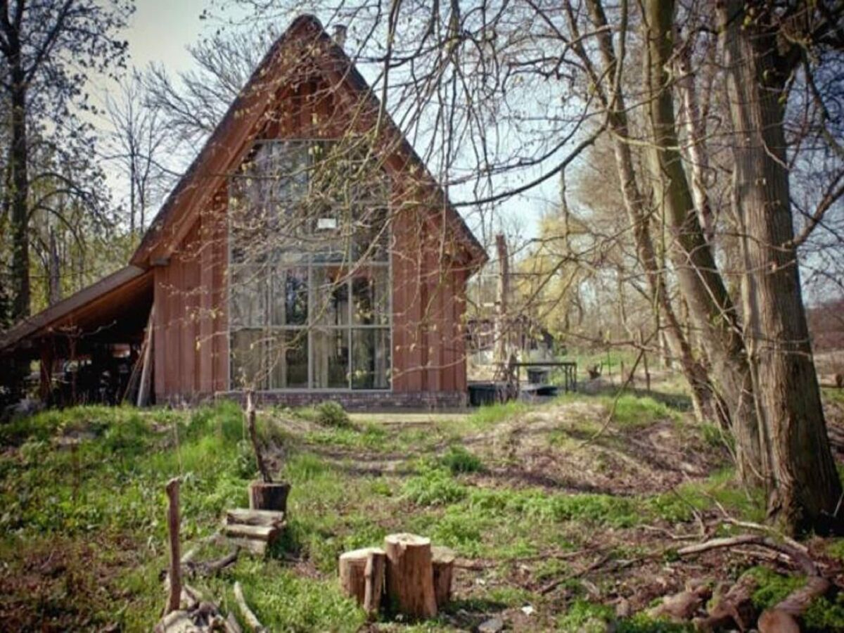 Holiday house Holiday Home in Bergen near Forests - Outdoor photo 2