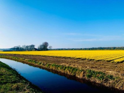 Holiday house Holiday Home in Bergen near Forests - Environment photo 15