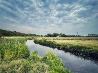 Holiday house Holiday Home in Bergen near Forests - Environment photo 21