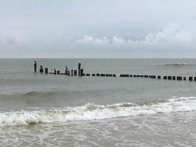 Holiday house Holiday Home in Bergen near Forests - Environment photo 23