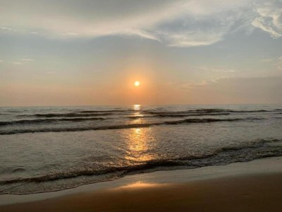 Holiday house Holiday Home in Bergen near Forests - Environment photo 25