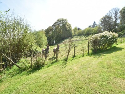 Holiday house Family Stay in Normandy - Environment photo 34