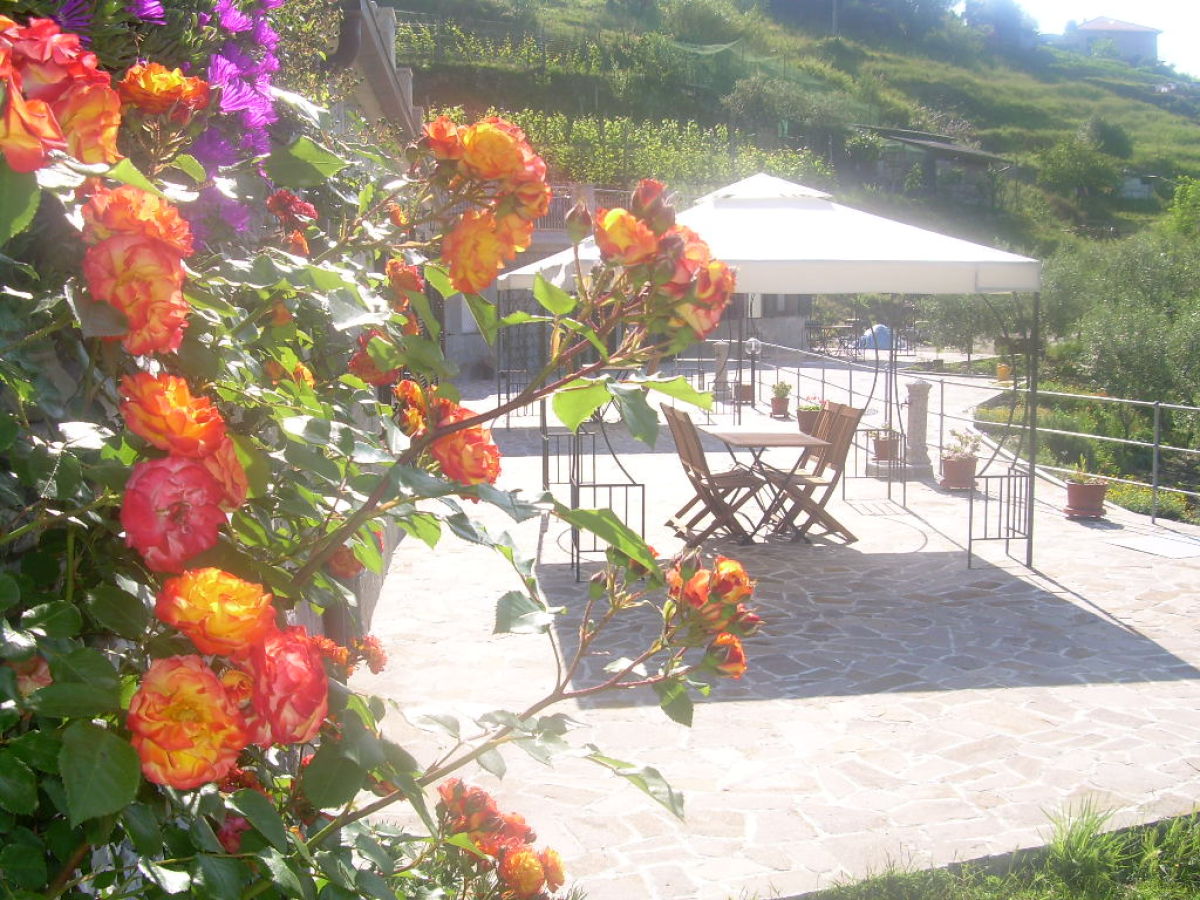 Apartment Ariabuona beautiful sea view - Outdoor photo 5