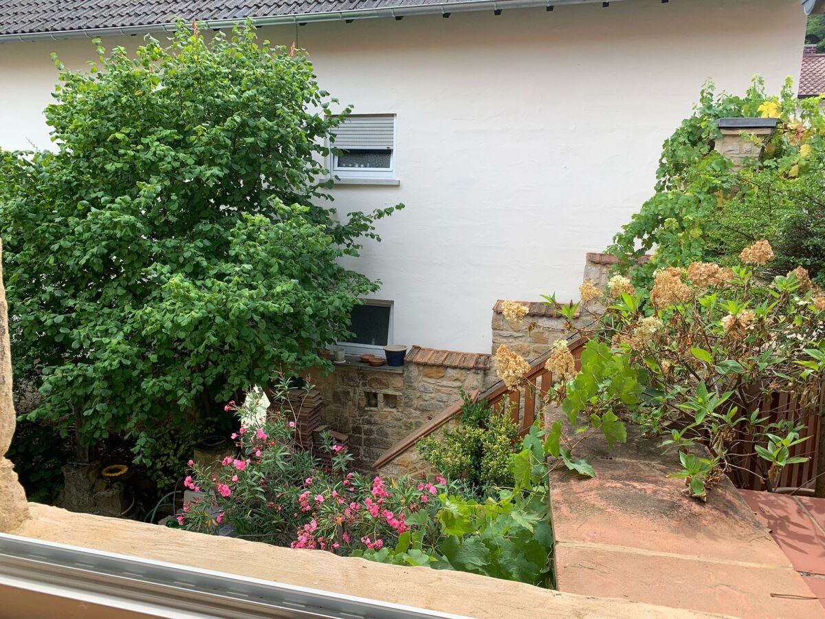 Apartment Ferienwohnung Steinhauser - Outdoor photo 3