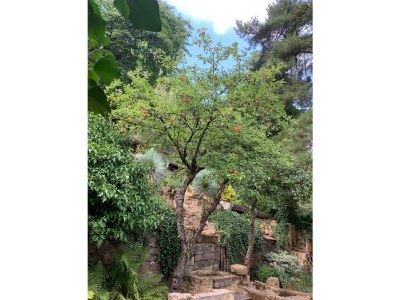 Apartment Ferienwohnung Steinhauser - Outdoor photo 24