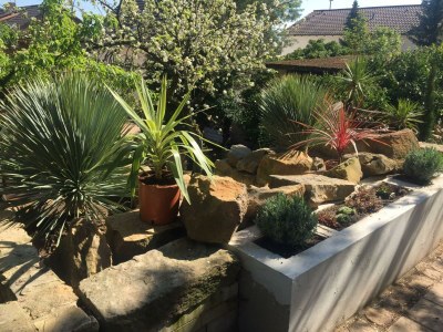 Apartment Ferienwohnung Steinhauser - Outdoor photo 25